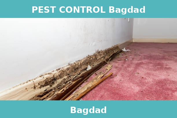 PEST CONTROL Bagdad